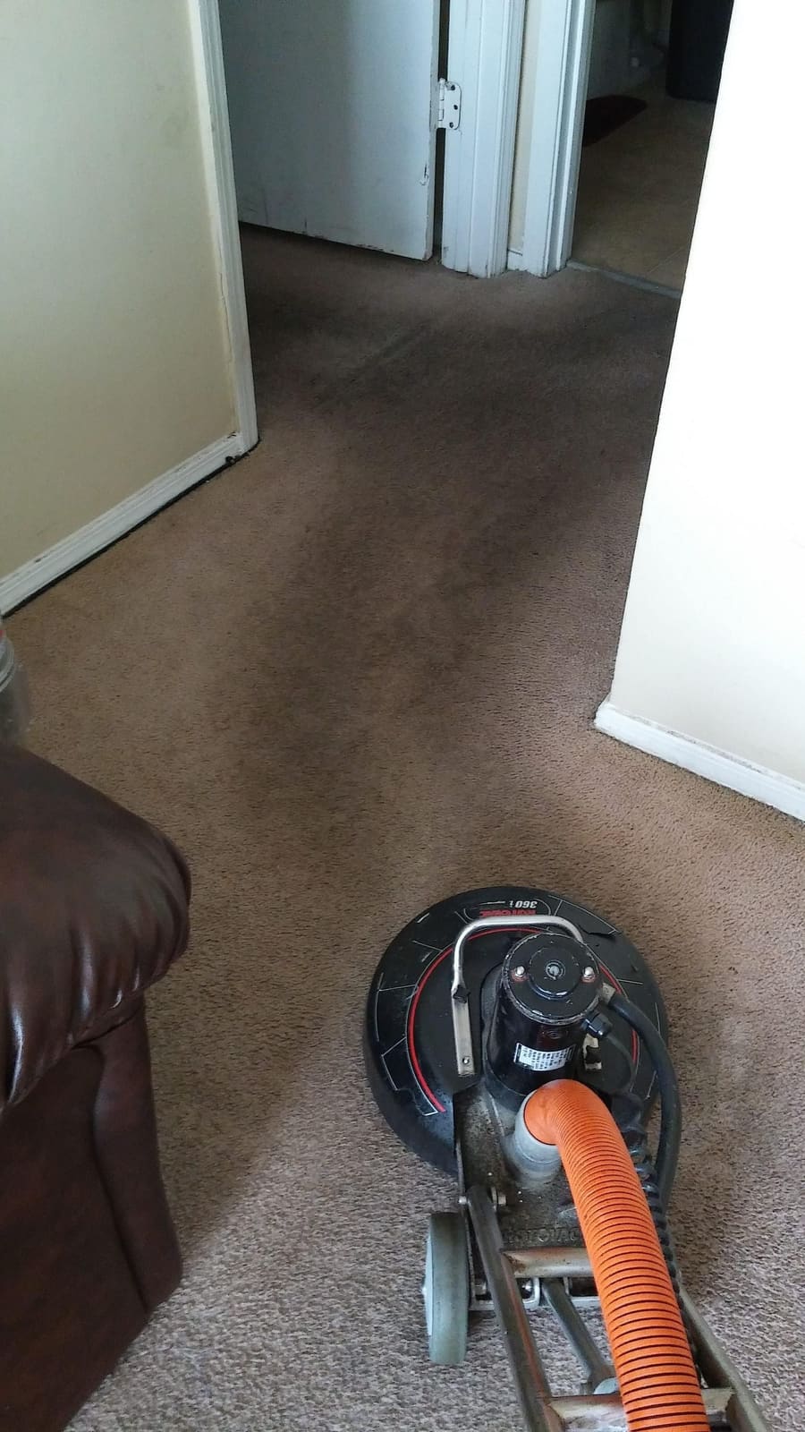 Carpet Cleaning in Covington